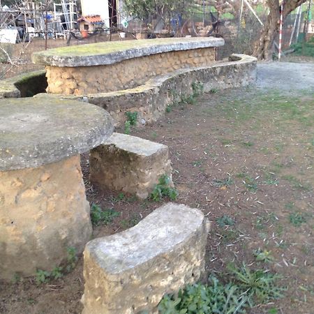 Huerta El Genoves Villa Carmona  Eksteriør bilde