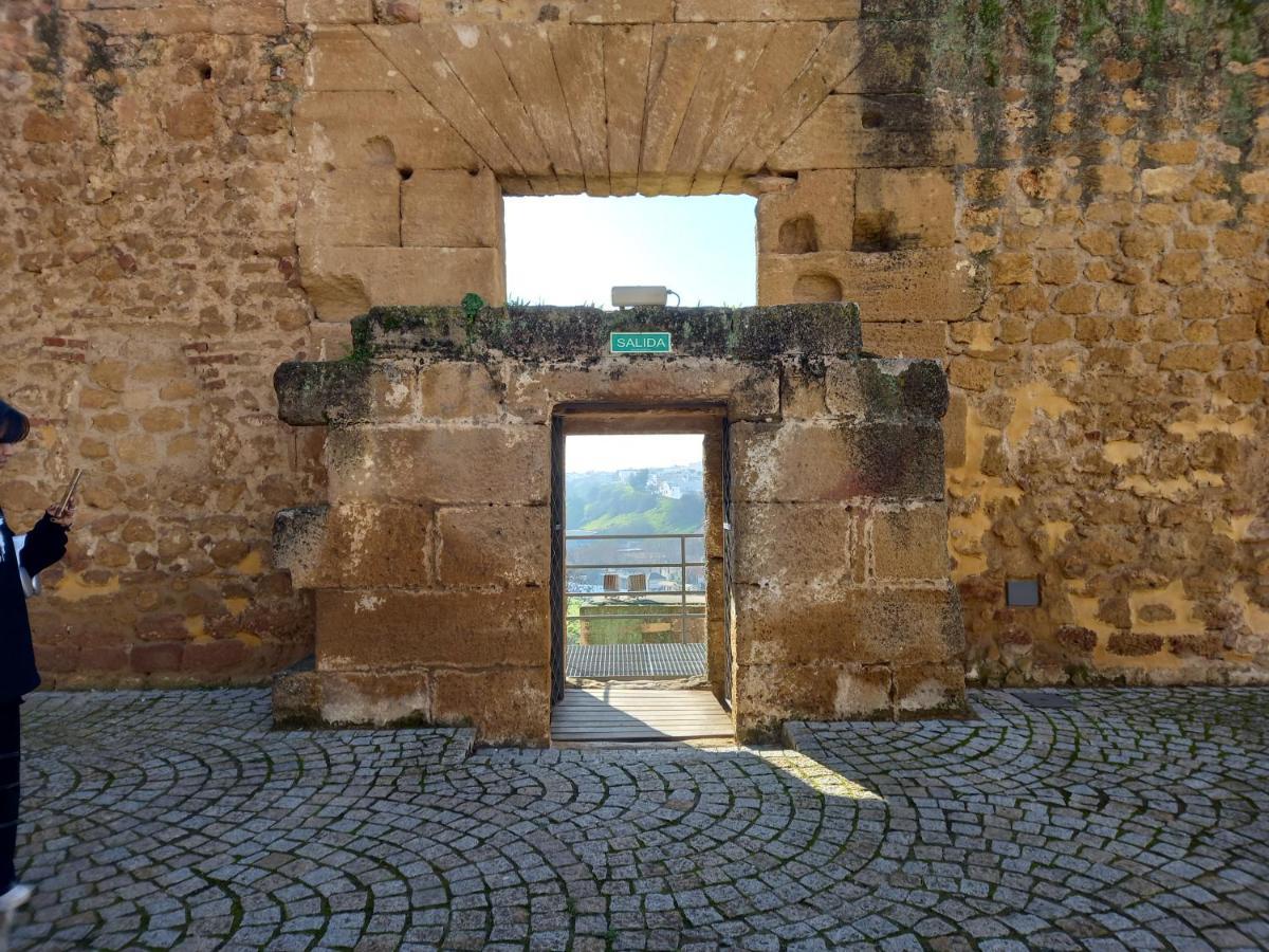 Huerta El Genoves Villa Carmona  Eksteriør bilde