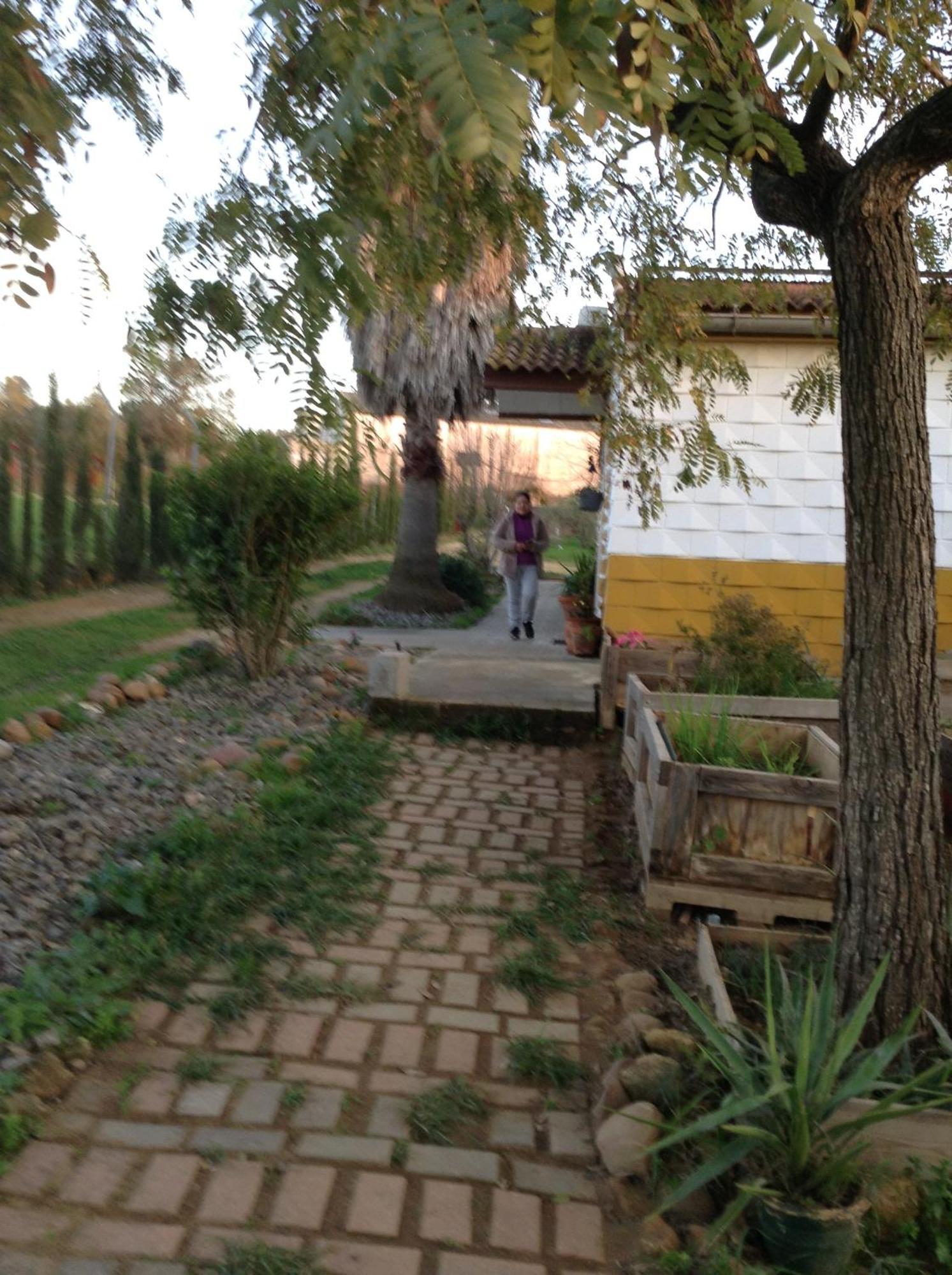 Huerta El Genoves Villa Carmona  Eksteriør bilde