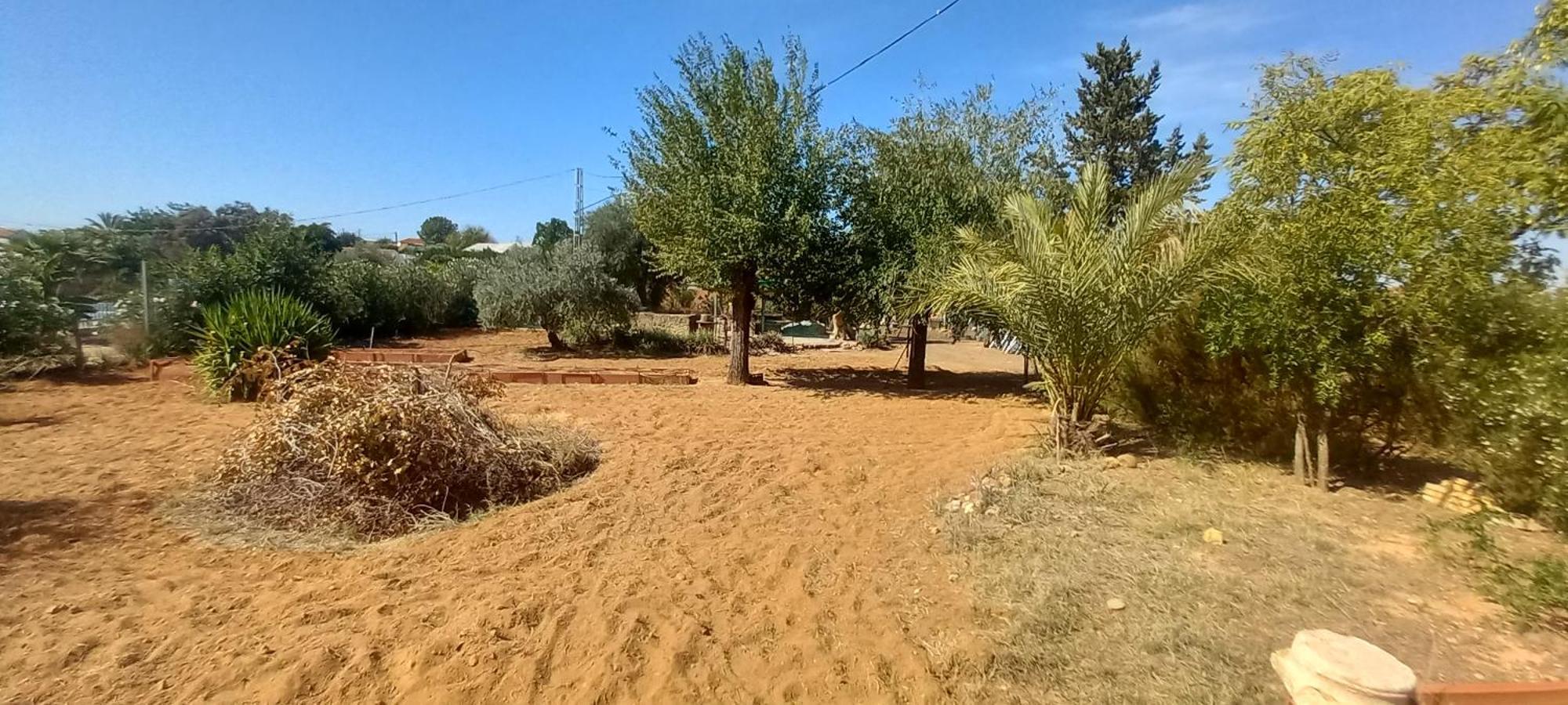Huerta El Genoves Villa Carmona  Eksteriør bilde